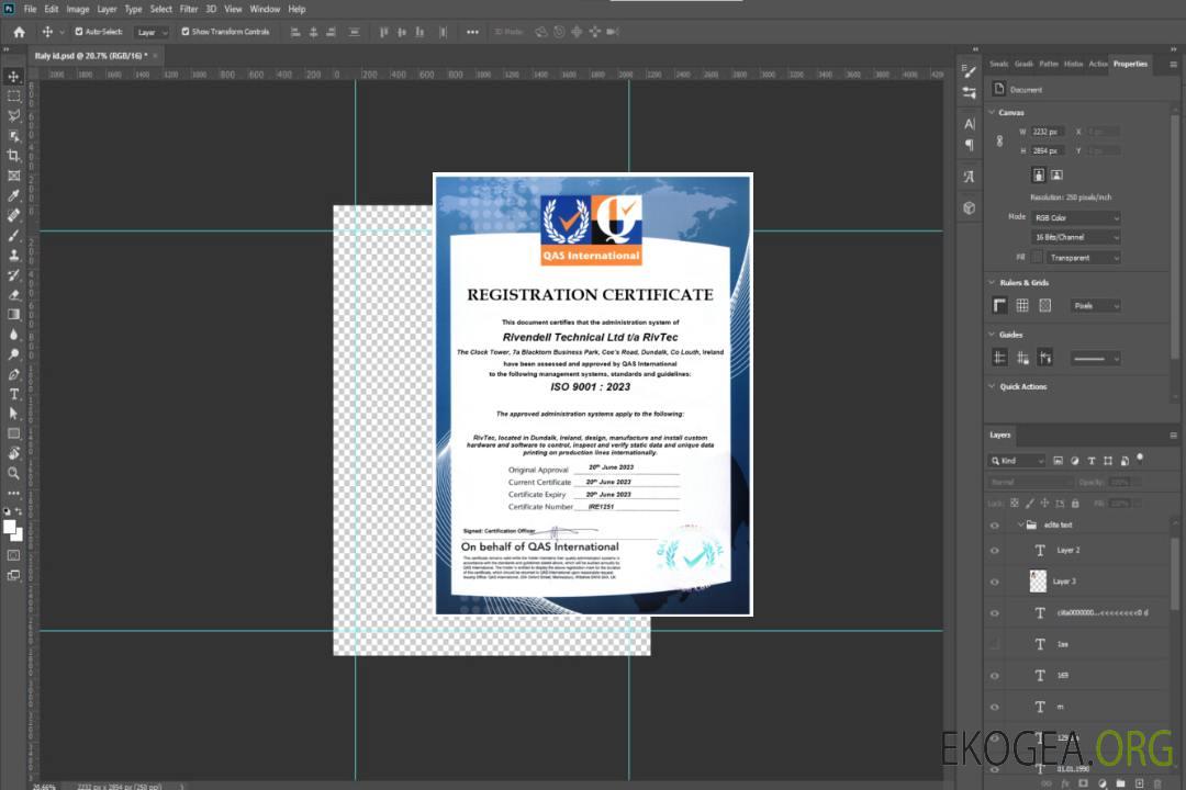 Irlande Rivendell Certificat technique d'enregistrement Modèle Word et PDF template